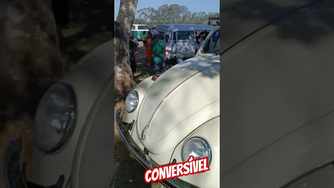 Conversível...Fusca #carrosantigos #carros #fusca