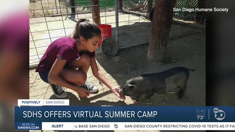 SDHS offers virtual summer camp