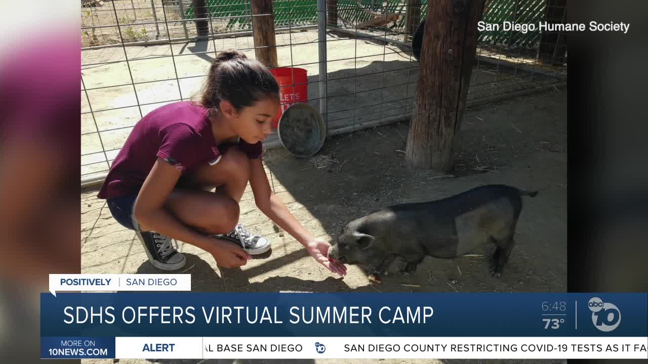 SDHS offers virtual summer camp