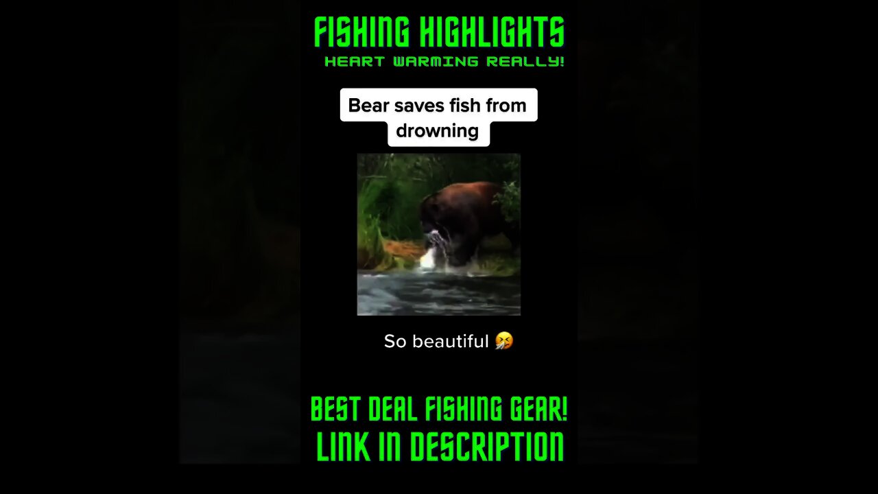 Bear Saves Fish From Drowning! #Shorts #BassFishing, #DeepSeaFishing, #SaltWaterFish#Fish #Fishing