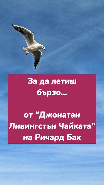 За да летиш бързо като мисълта... /от "Джонатан Ливингстън Чайката" на Ричард Бах/ 👀🎧 има я в канала