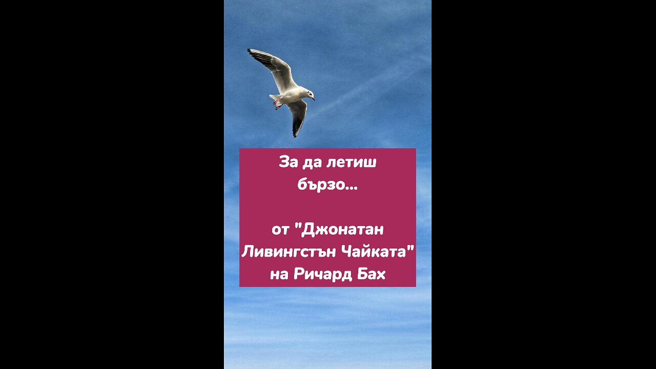 За да летиш бързо като мисълта... /от "Джонатан Ливингстън Чайката" на Ричард Бах/ 👀🎧 има я в канала