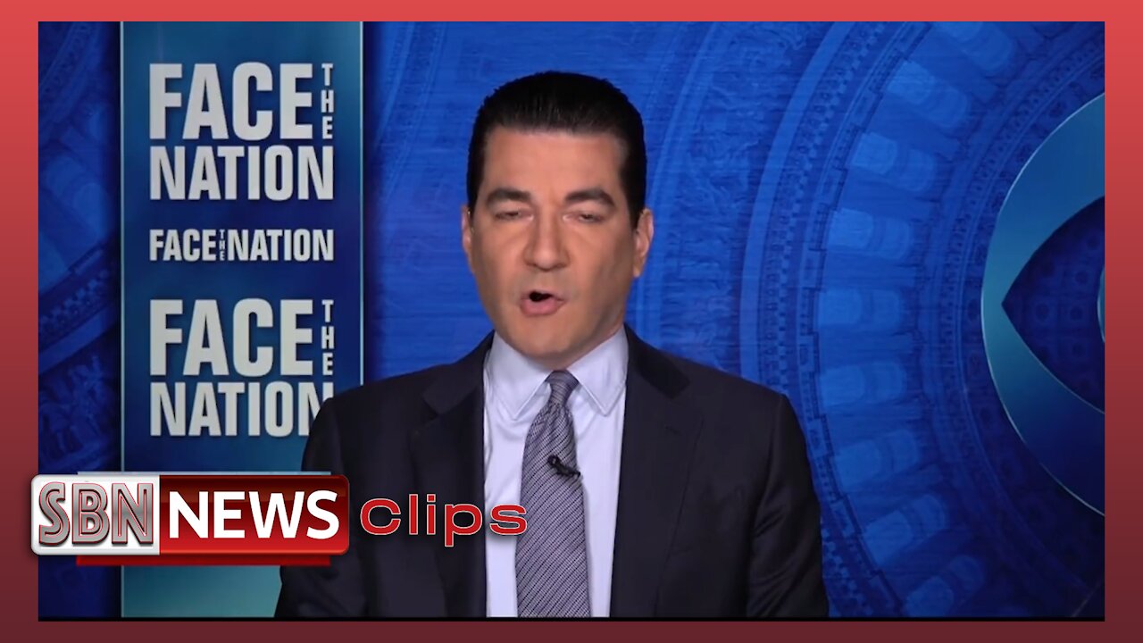 Fmr. FDA Commish Scott Gottlieb On the Efficacy of the Shot vs. Omricon - 5292