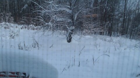 The Morning after the Wrath of Ezekiel