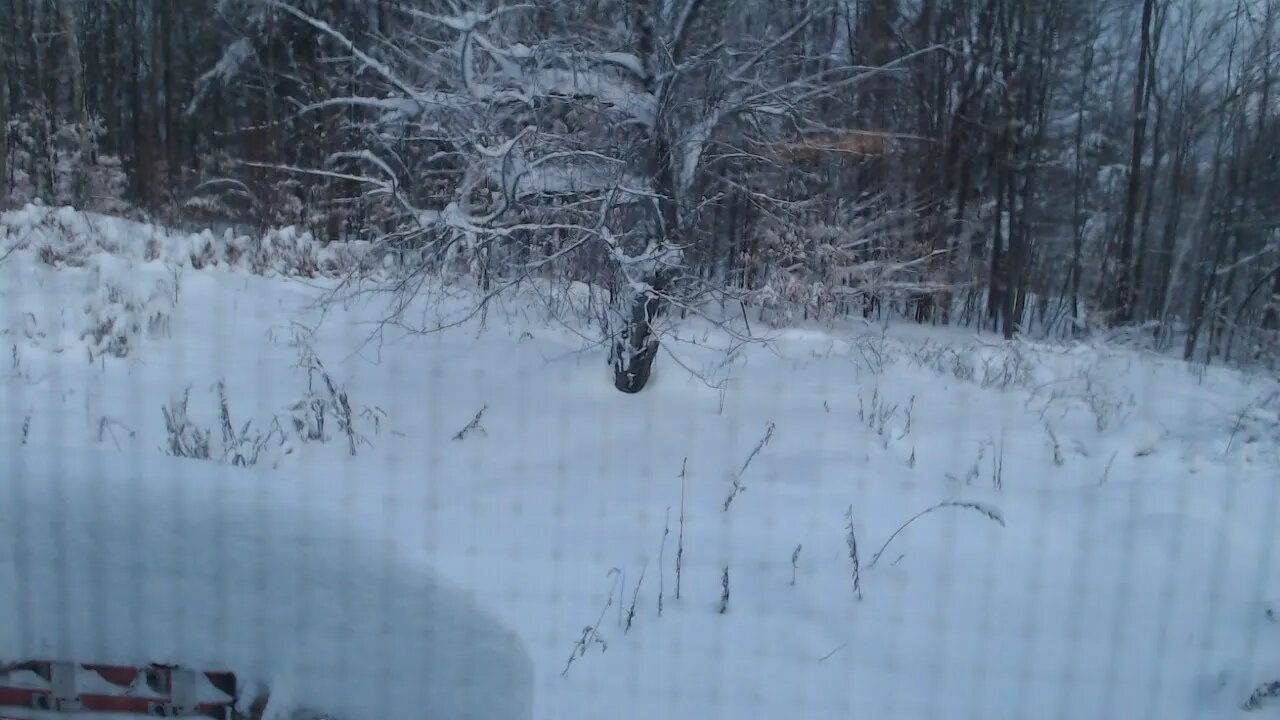 The Morning after the Wrath of Ezekiel