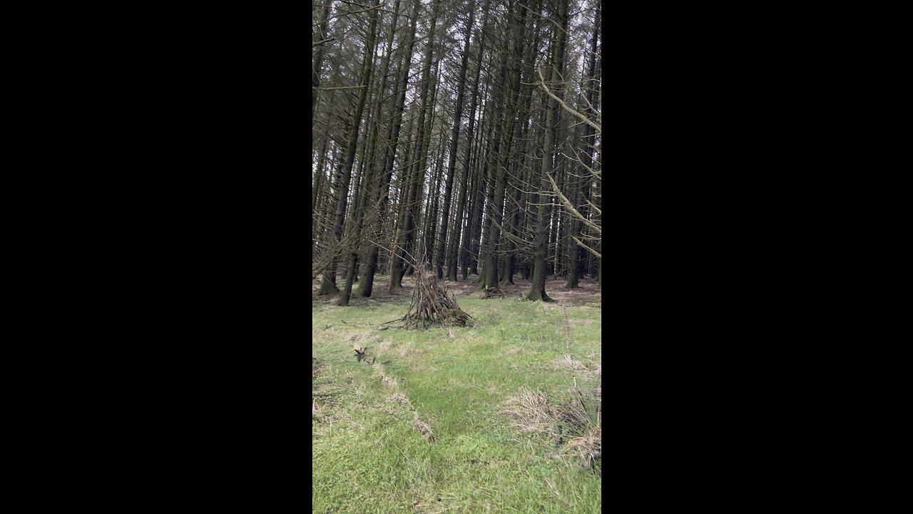 wilderness
