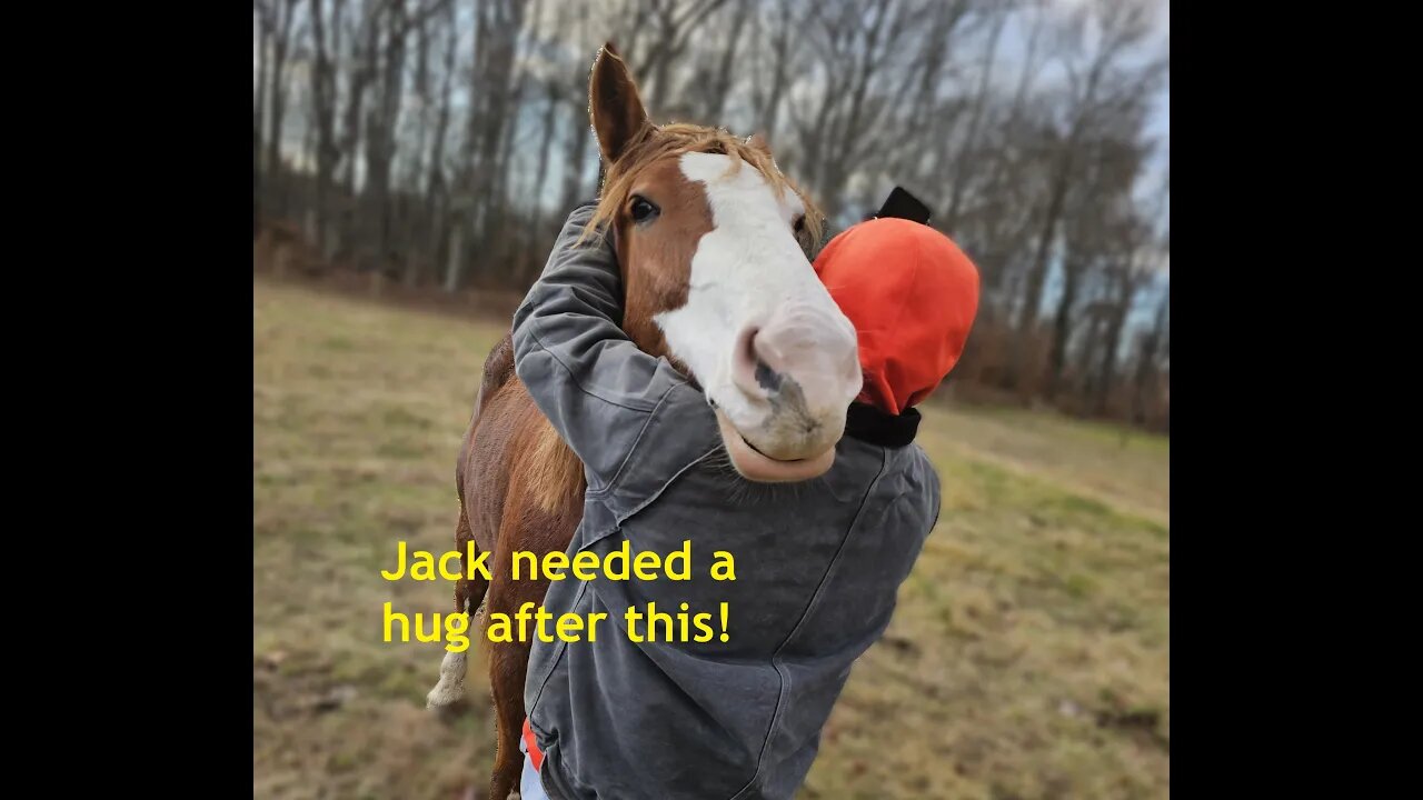 Hank gets introduced to the Herd