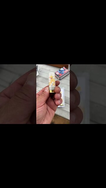 12ga. DUCKSHOT (Toy Ducks & BB's)