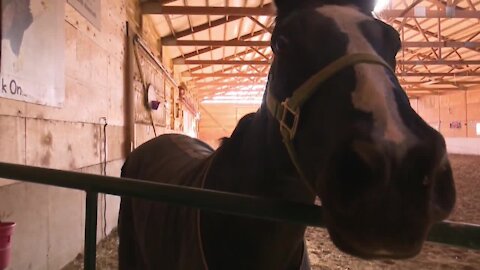 Neenah nonprofit makes lasting impact through therapeutic horse riding