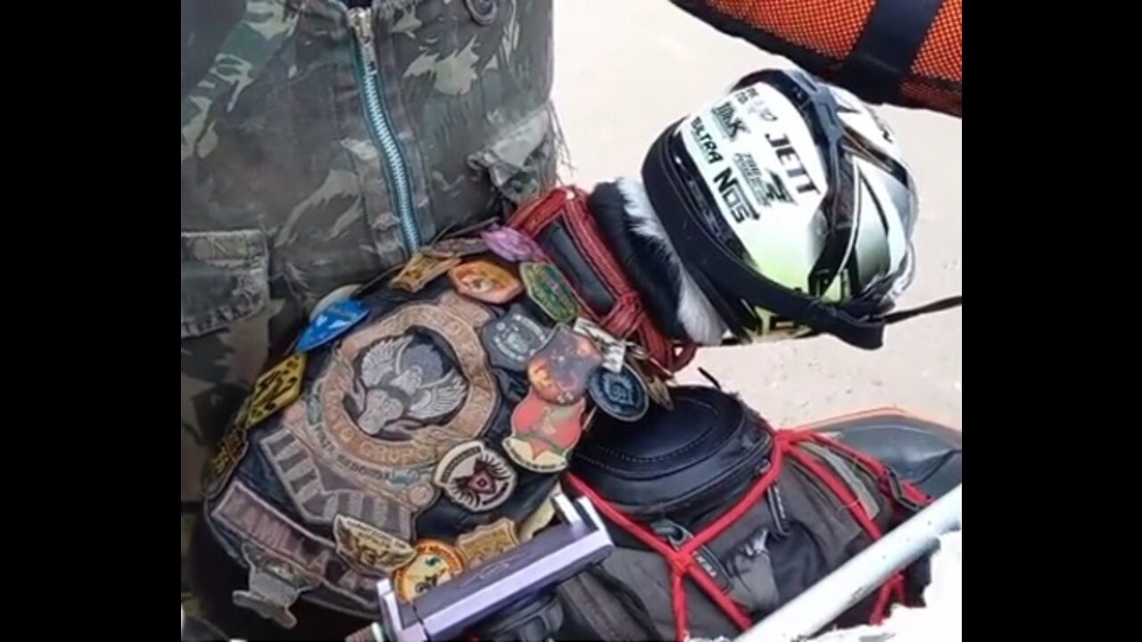 DOG MOTO