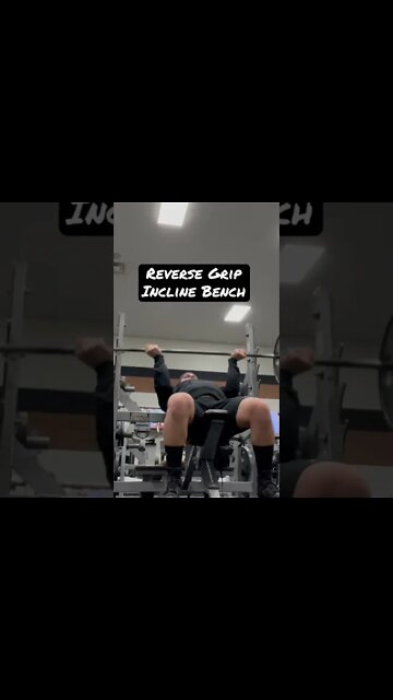 Legs and Chest - 20220309