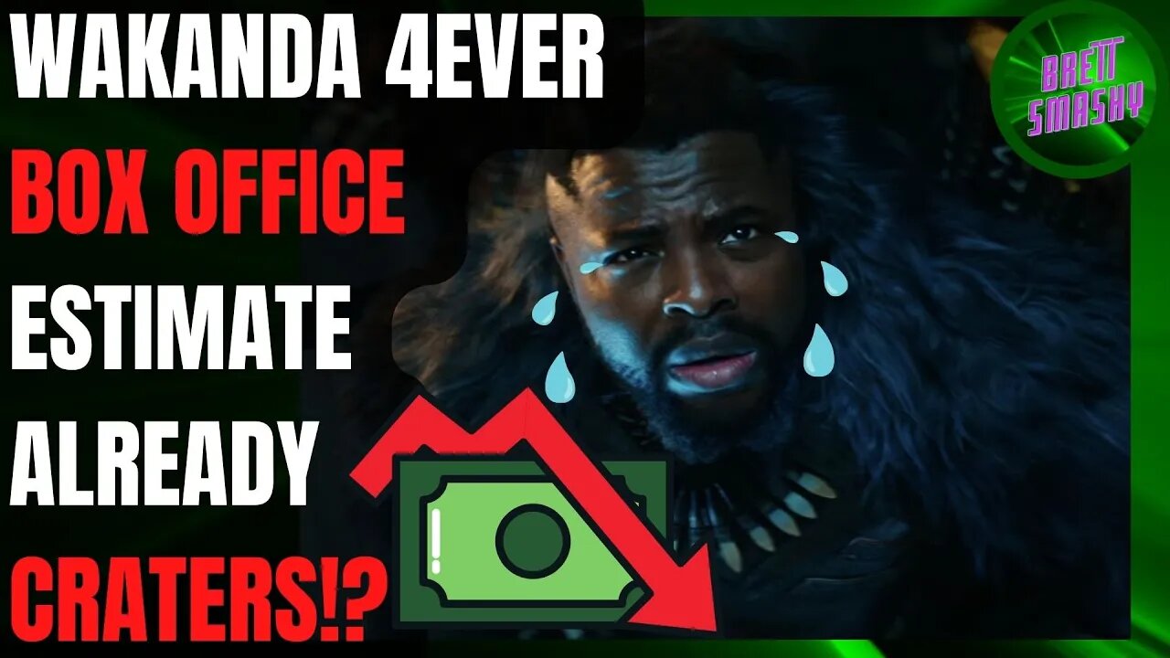 Wakanda Forever COULD Make EVEN LESS Than This Marvel Movie...