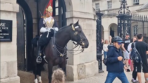 Tourist 🏃‍♂️ running from the horse 😱 #horseguardsparade