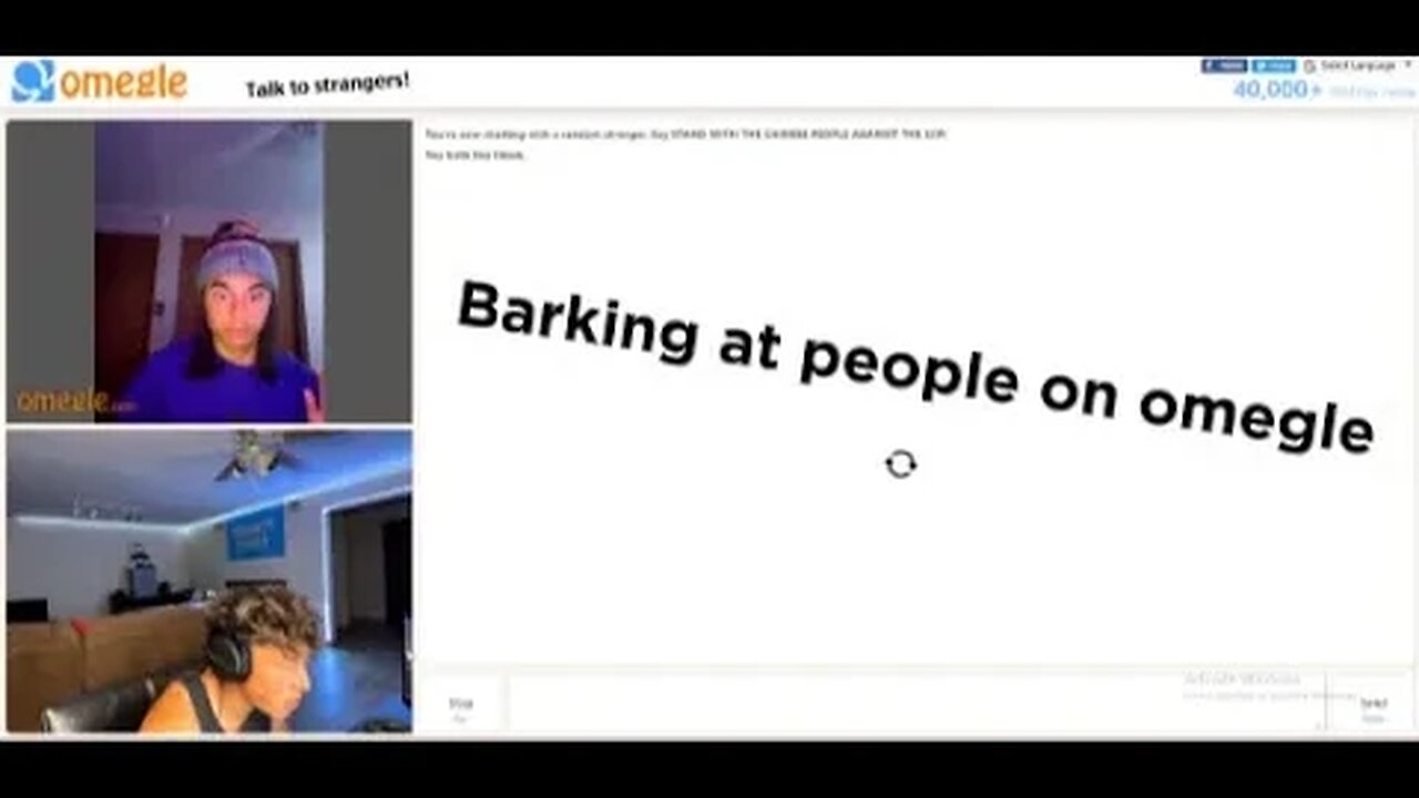 Barking at people on omegle