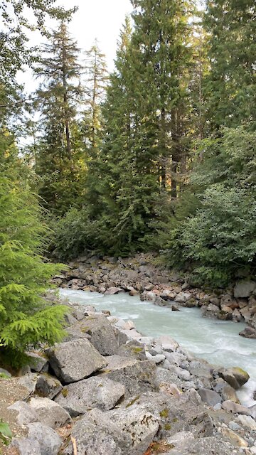 Rushing Water in Whistler