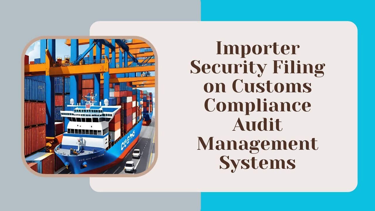 Navigating Customs Compliance Audits: Influence of Importer Security Filing