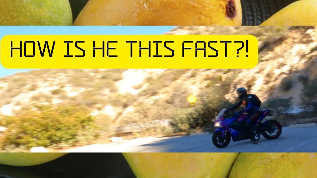 FASTEST GSX-S 1000 RIDER ! HOW CAN 1000 MANGO'S BE THIS FAST EP.129.5