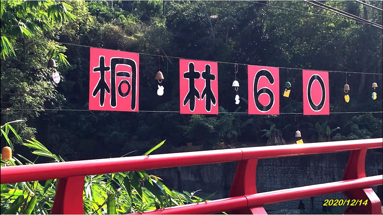 20_1214霧峰 桐林60