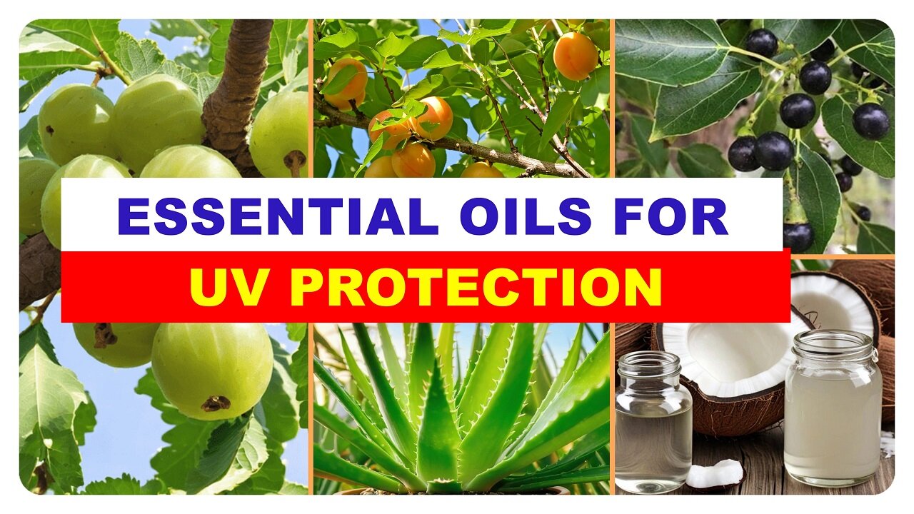 Essential Oils: Your Secret Weapon Against Harmful UV Exposure