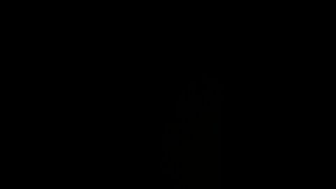 How to pronounce chauffeur