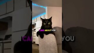 Send to your Bestie💗💜❤️ #cat #kitten #blackcat #leonthecatdad #motivation #positivity