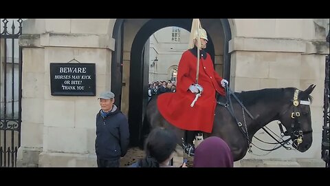 The kings guard doesn't wait for the tourist to move #horseguardsparade