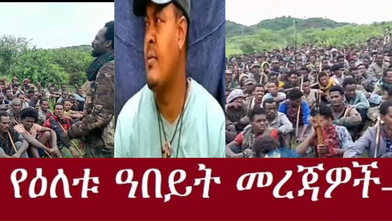 የአማራ ፋኖ በወሎ Nov 16 2024#dere news #dera zena #zena tube #derejehabtewold #ethiopianews