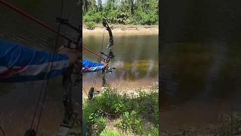 Bow fishing in Florida