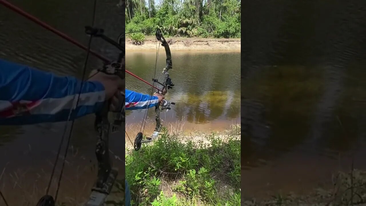 Bow fishing in Florida