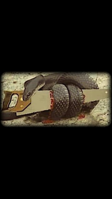 So we are aborting a million Americans a year and importing a million workers a year.