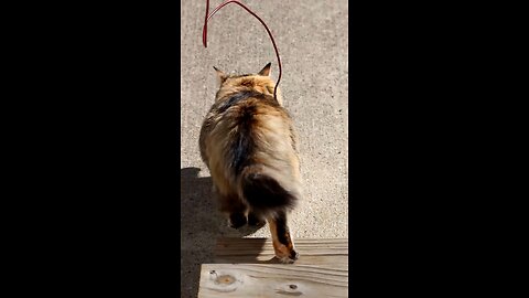 Leia Running Outside