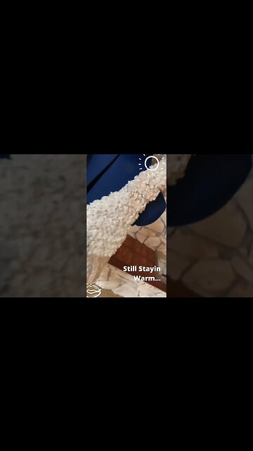 Crochet a Vest! Fleece Yarn is my New Addiction!!! #keepstitching