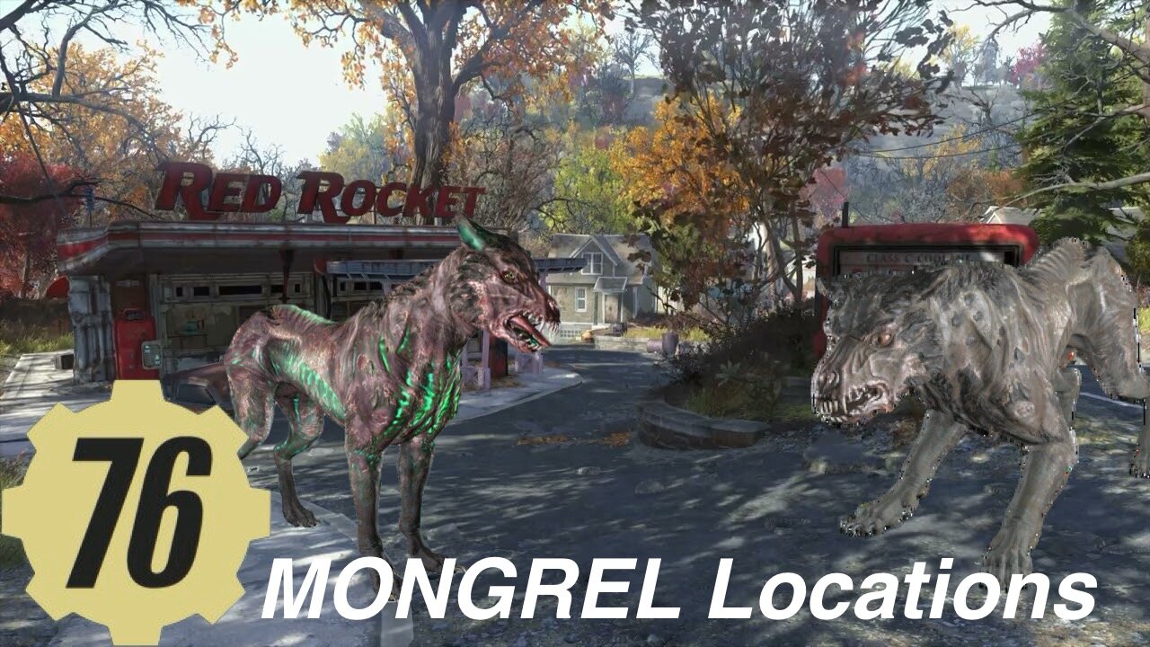 MONGREL Locations, fallout76