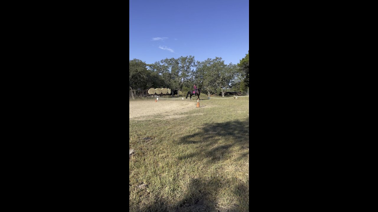 Cricket canter work