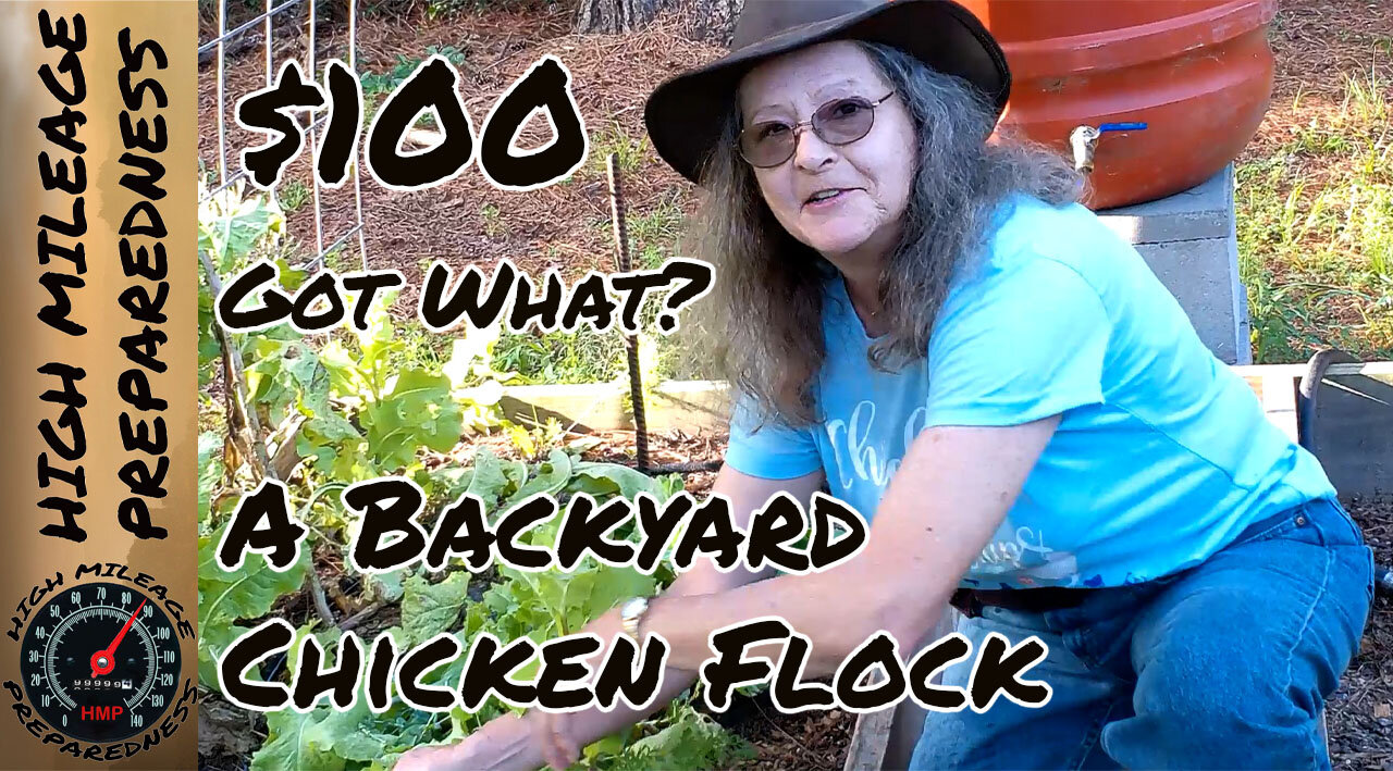 Backyard chicken flock? $100 and DONE!