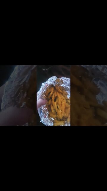 excuse me #pitbull #dogs #dogsplaying