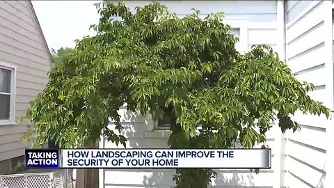 Your landscaping can help protect your home or serve as cover for thieves