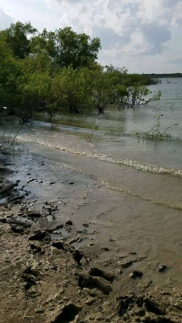 Muddy lake Lavon, Texas