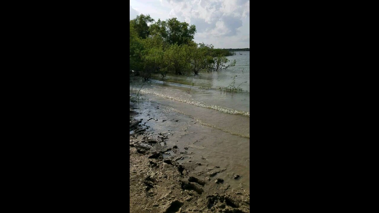 Muddy lake Lavon, Texas