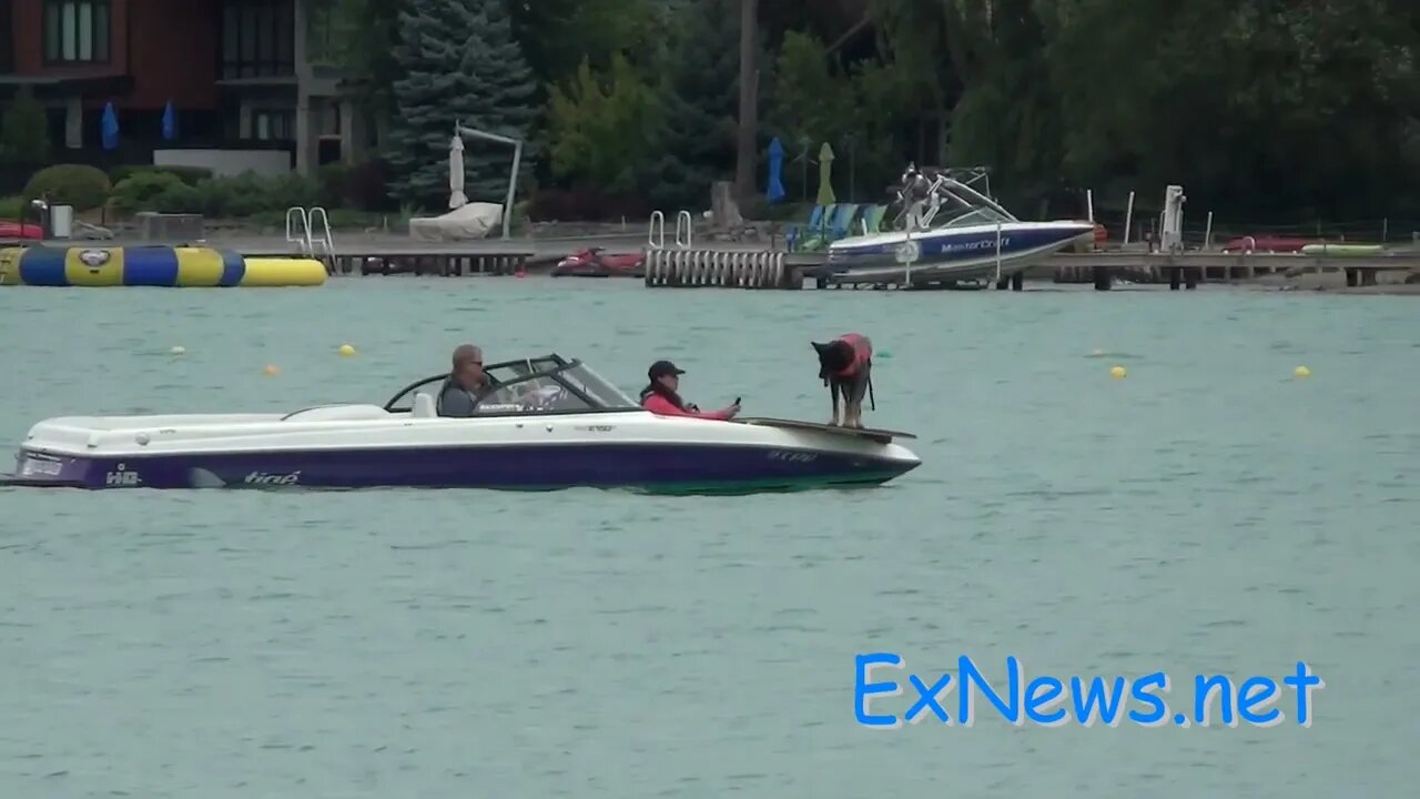 Cadaver Dog on Kalamalka lake