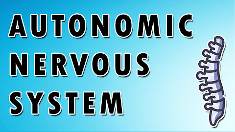 Understanding The Autonomic Nervous System - Sympathetic and Parasympathetic Nervous System