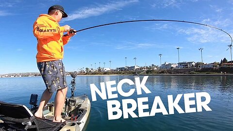 One Two Punch | WARBAITS NECK BREAKER / UNDERSPIN