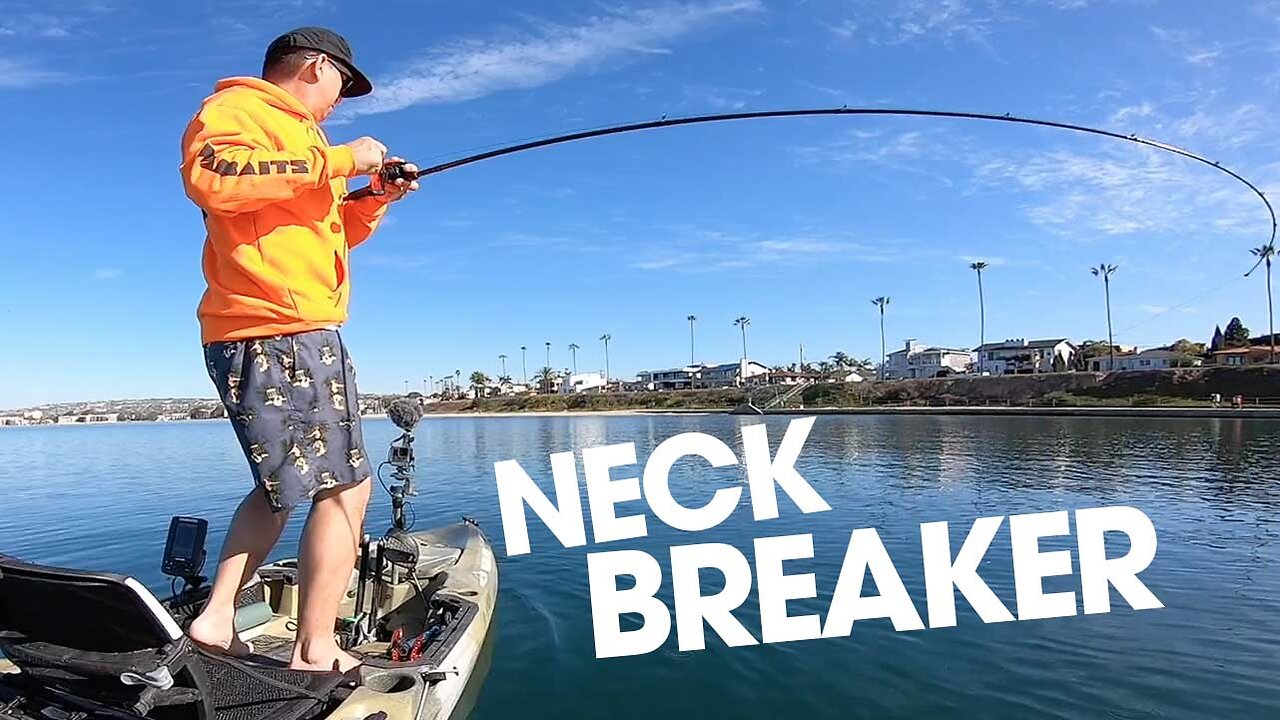 One Two Punch | WARBAITS NECK BREAKER / UNDERSPIN
