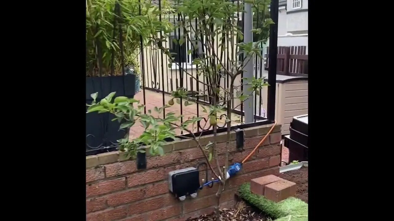 Prepping - New Projects in the Garden