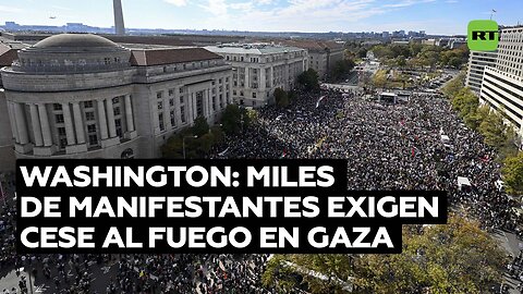 Decenas de miles de personas protestan en Washington