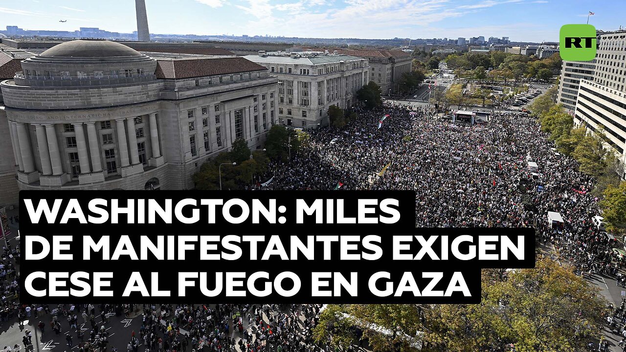 Decenas de miles de personas protestan en Washington