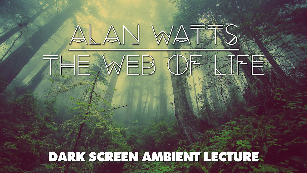 Alan Watts - The Web of Life - ambient lecture with dark screen