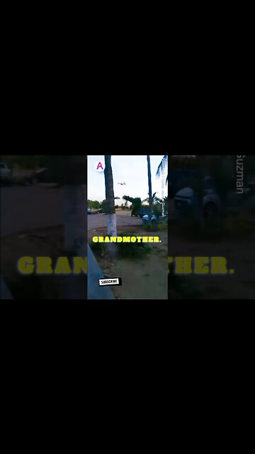 Horror moment gender reveal party turns deadly as plane nosedives