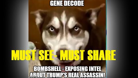 Gene Decode BOMBSHELL - Exposing Intel About Trump's REAL Assassin - 7/26/24..