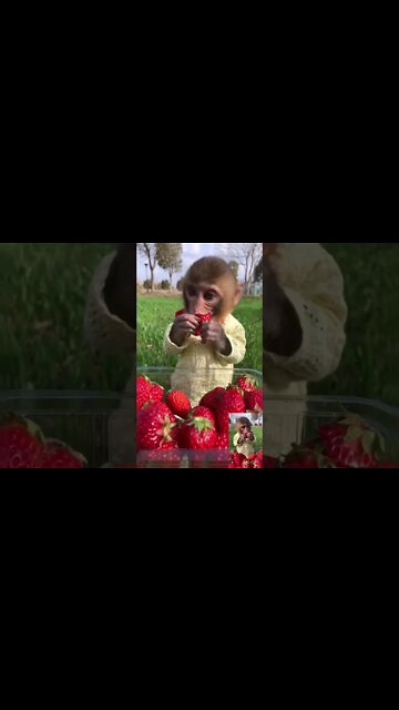 Most Amazing and trending video||relaxing your mind||trendig videos|| #shorts #trending #viral #live